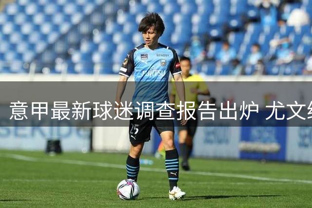 意甲最新球迷调查报告出炉 尤文继续领跑球迷榜