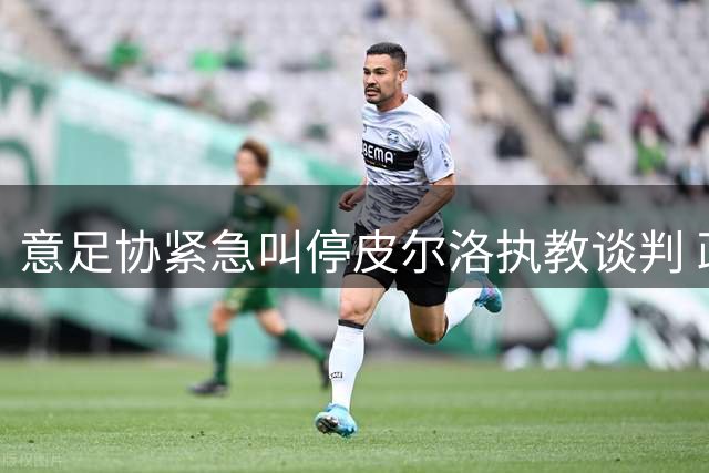 意足协紧急叫停皮尔洛执教谈判 政治压力致帅位再生变数