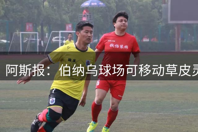 阿斯报：伯纳乌球场可移动草皮灵感部分来自于沙尔克主场